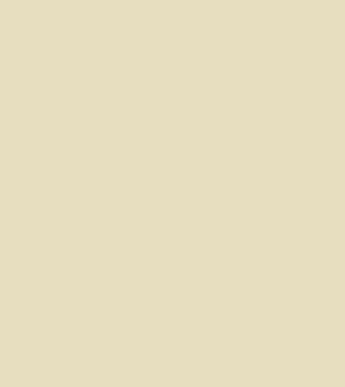 White Ochre Wall & Ceiling Paint White Ochre Wall & Ceiling Paint White Ochre Wall & Ceiling Paint